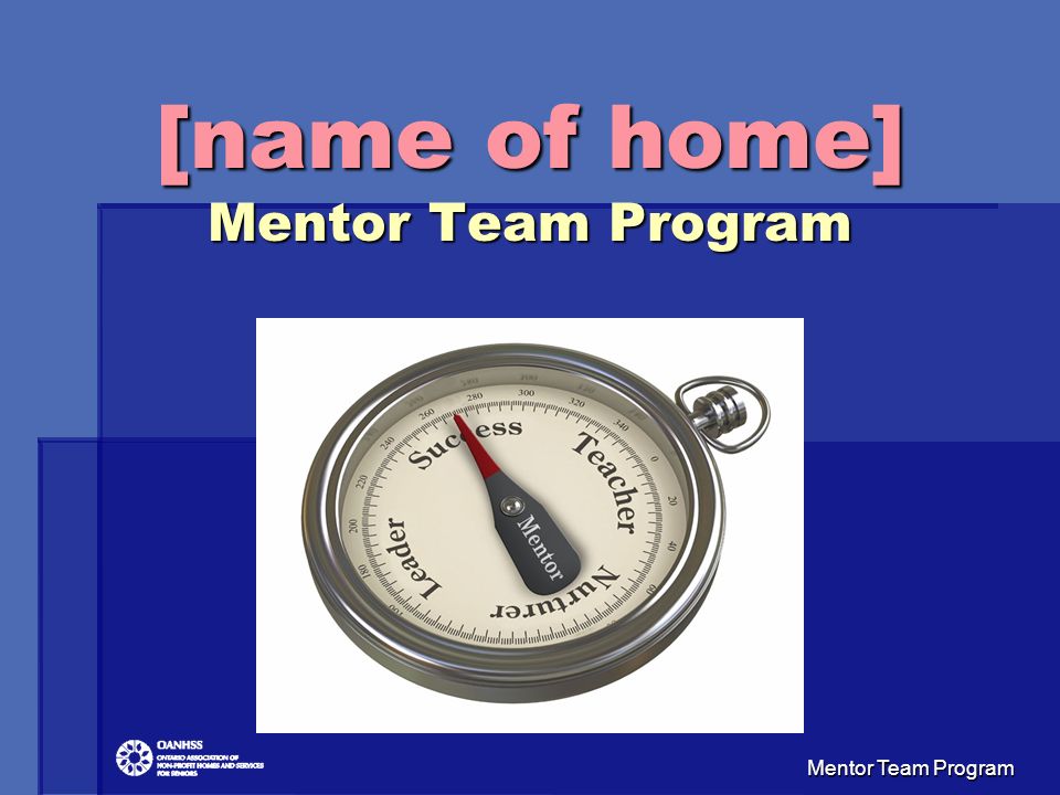 mentor team program name
