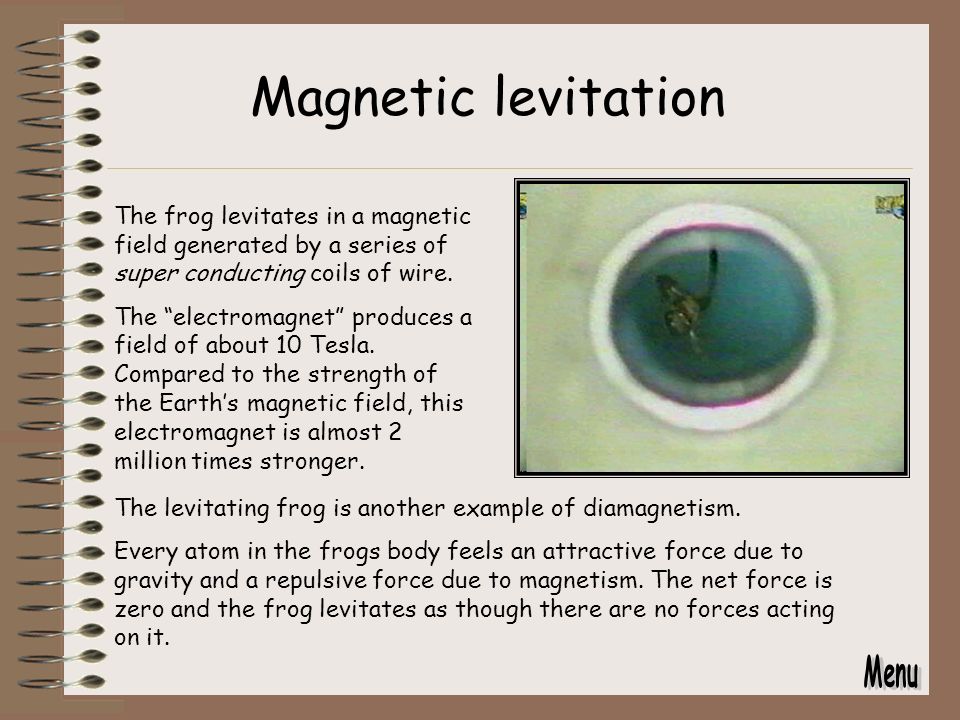 Magnetism & You  The Magnetic EarthThe Magnetic Earth  Ferro, Para and  Diamagnetism.Ferro, Para and Diamagnetism.  The Aurora Borealis.The Aurora  Borealis. - ppt download