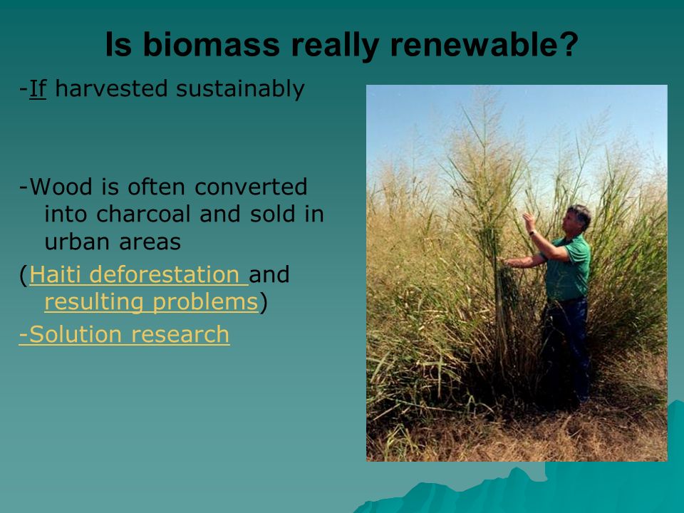 Is biomass really renewable.