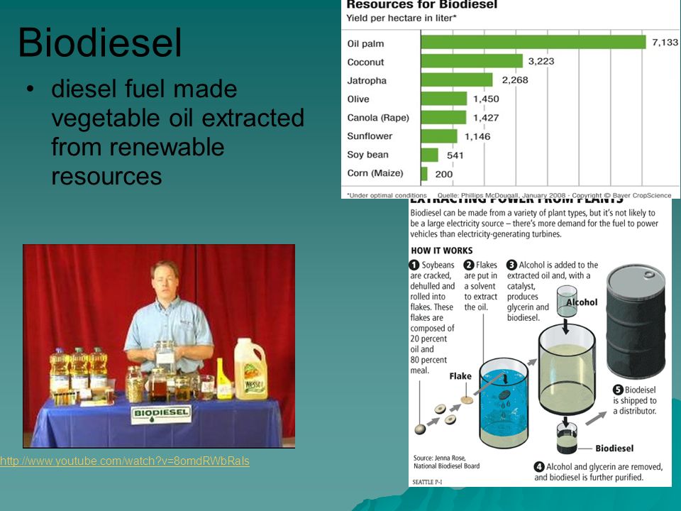 Biodiesel diesel fuel made vegetable oil extracted from renewable resources   v=8omdRWbRaIs