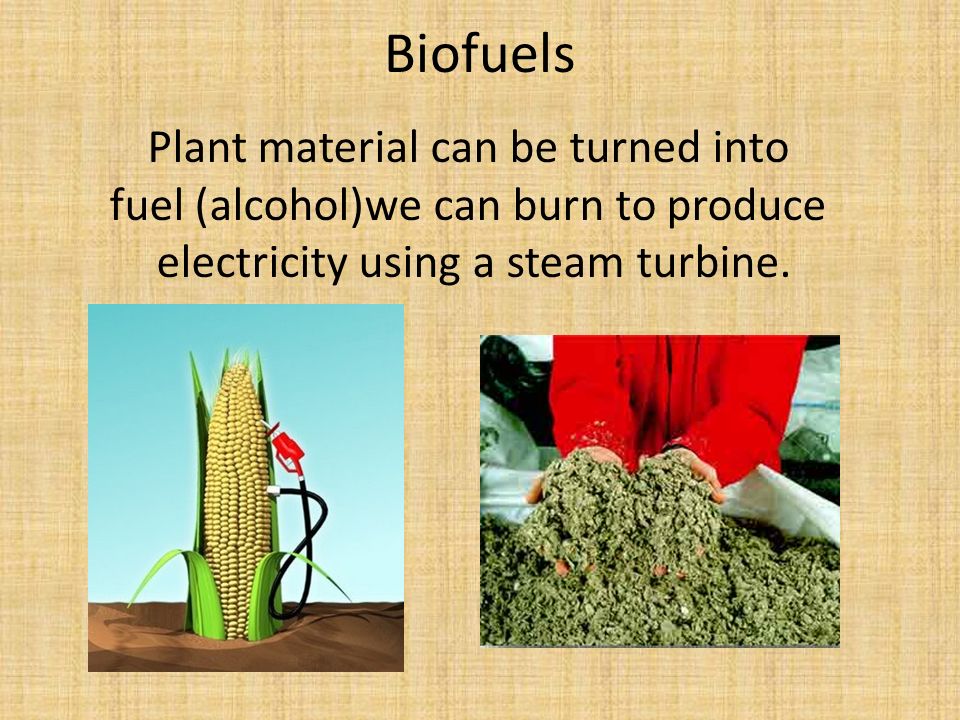 Biofuels Plant material can be turned into fuel (alcohol)we can burn to produce electricity using a steam turbine.