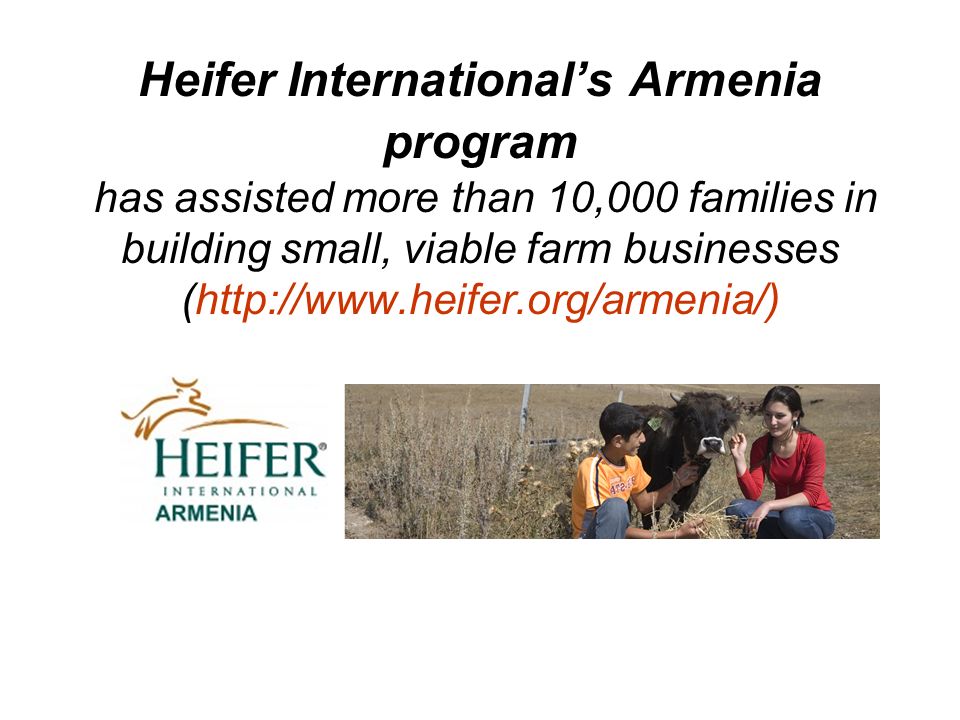 Heifer International’s Armenia program has assisted more than 10,000 families in building small, viable farm businesses (