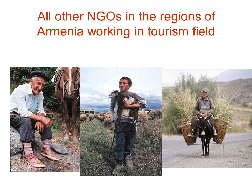 All other NGOs in the regions of Armenia working in tourism field