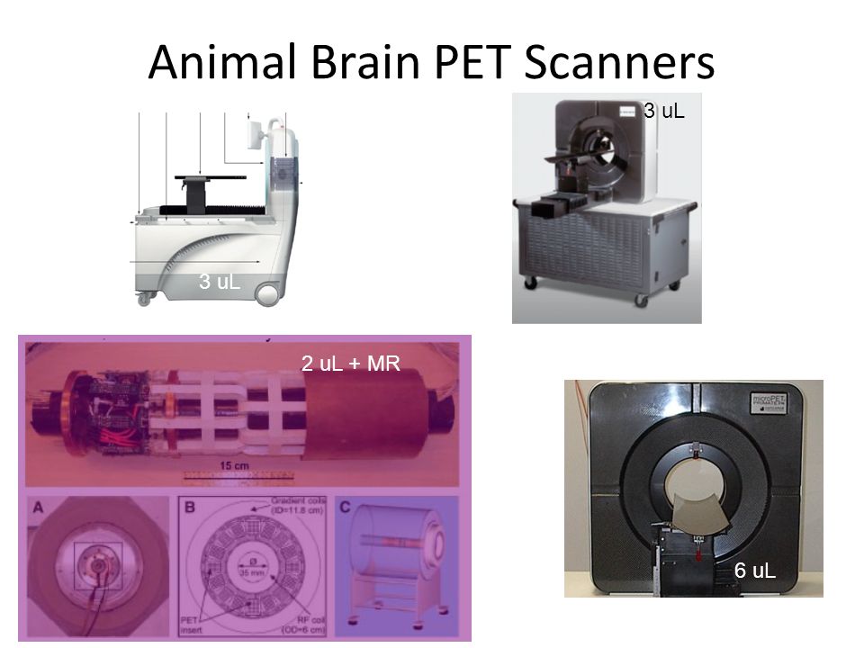 Animal Brain PET Scanners 6 uL 3 uL 2 uL + MR
