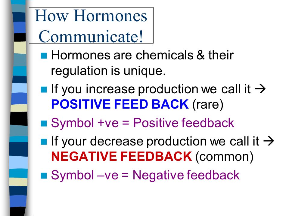 The Endocrine System Our hormones Chemical messengers of the  