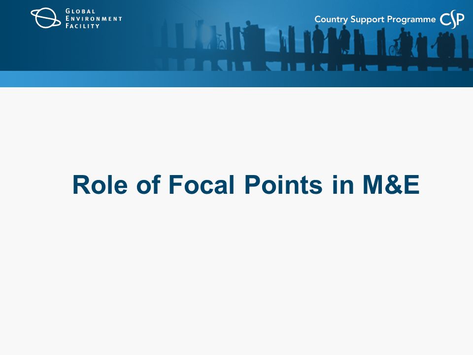 Role of Focal Points in M&E