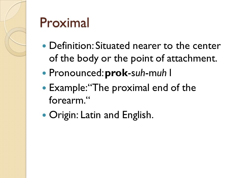Proximal Definition: Situated nearer to the center of the body or the point of attachment.