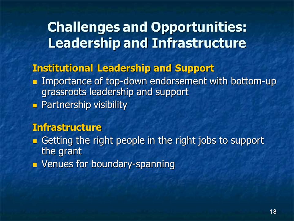 18 Challenges and Opportunities: Leadership and Infrastructure Institutional Leadership and Support Importance of top-down endorsement with bottom-up grassroots leadership and support Importance of top-down endorsement with bottom-up grassroots leadership and support Partnership visibility Partnership visibilityInfrastructure Getting the right people in the right jobs to support the grant Getting the right people in the right jobs to support the grant Venues for boundary-spanning Venues for boundary-spanning