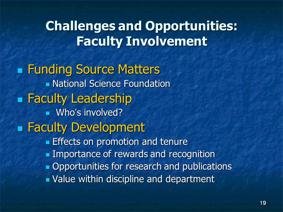 19 Challenges and Opportunities: Faculty Involvement Funding Source Matters Funding Source Matters National Science Foundation National Science Foundation Faculty Leadership Faculty Leadership Who’s involved.