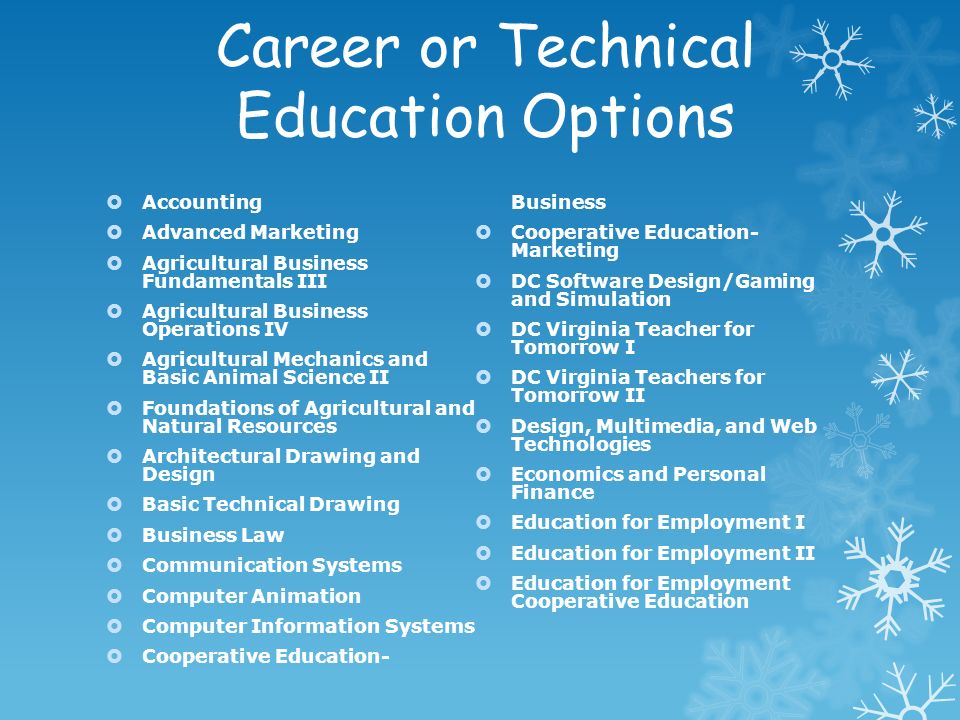 Career or Technical Education Options  Accounting  Advanced Marketing  Agricultural Business Fundamentals III  Agricultural Business Operations IV  Agricultural Mechanics and Basic Animal Science II  Foundations of Agricultural and Natural Resources  Architectural Drawing and Design  Basic Technical Drawing  Business Law  Communication Systems  Computer Animation  Computer Information Systems  Cooperative Education- Business  Cooperative Education- Marketing  DC Software Design/Gaming and Simulation  DC Virginia Teacher for Tomorrow I  DC Virginia Teachers for Tomorrow II  Design, Multimedia, and Web Technologies  Economics and Personal Finance  Education for Employment I  Education for Employment II  Education for Employment Cooperative Education