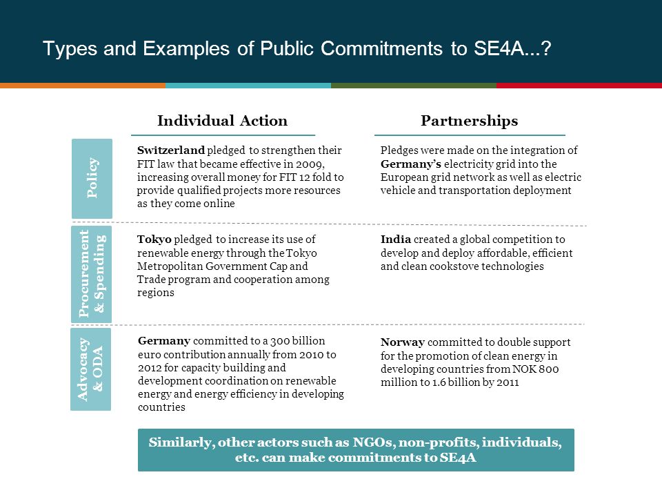 Types and Examples of Public Commitments to SE4A....
