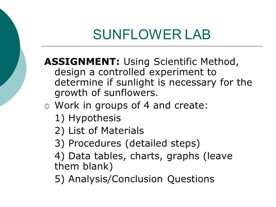 SUNFLOWER LAB ASSIGNMENT: Using Scientific Method, design a controlled experiment to determine if sunlight is necessary for the growth of sunflowers.