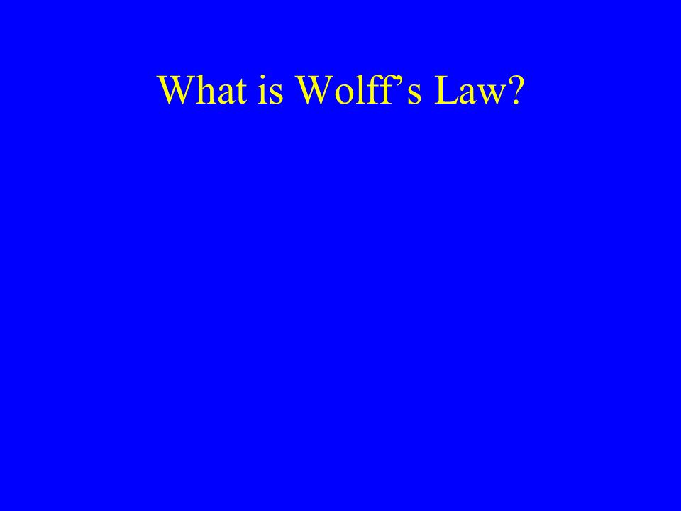 What is Wolff’s Law