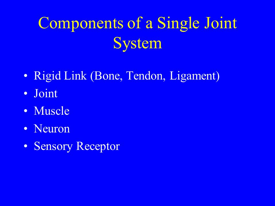 Components of a Single Joint System Rigid Link (Bone, Tendon, Ligament) Joint Muscle Neuron Sensory Receptor