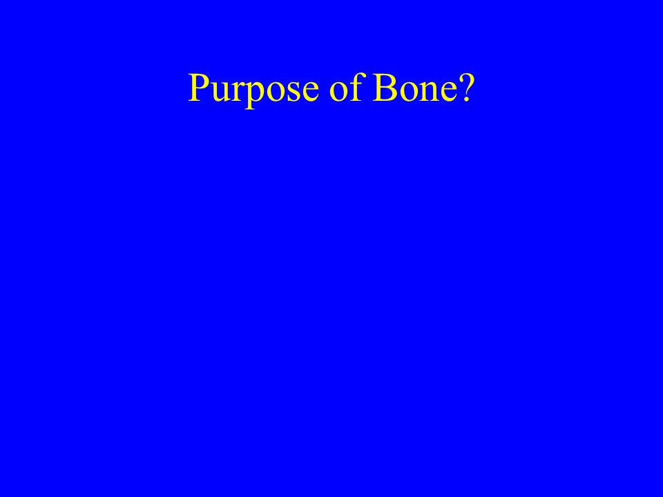 Purpose of Bone