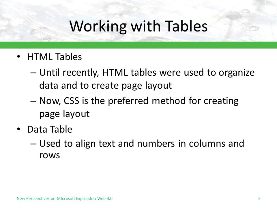 Tutorial 6 Creating Tables And Css Layouts Objectives