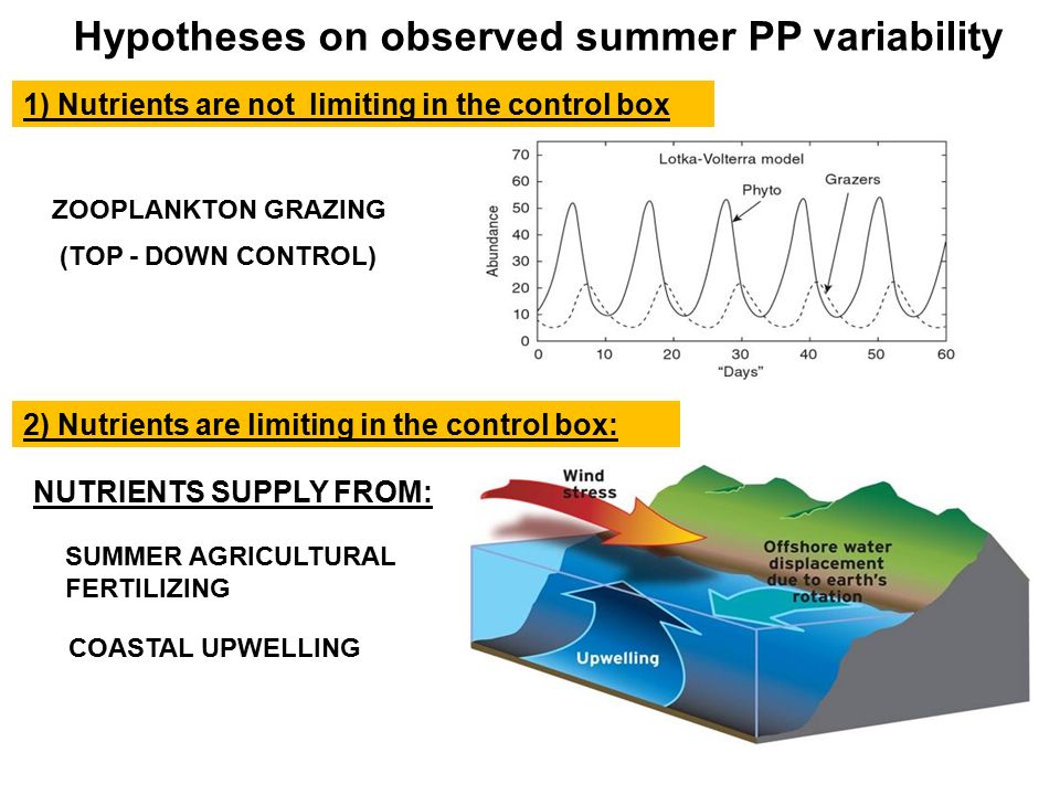 1) Nutrients are not limiting in the control box Hypotheses on observed summer PP variability 2) Nutrients are limiting in the control box: NUTRIENTS SUPPLY FROM: COASTAL UPWELLING ZOOPLANKTON GRAZING (TOP - DOWN CONTROL) SUMMER AGRICULTURAL FERTILIZING