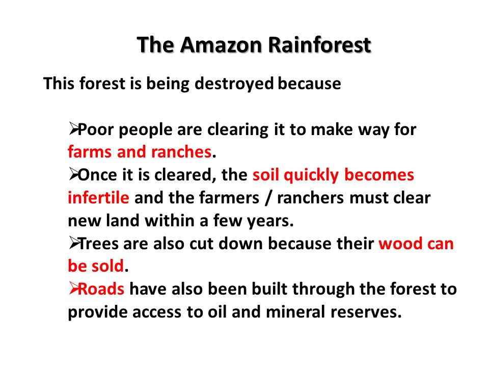 The Amazon Rainforest This forest is being destroyed because  Poor people are clearing it to make way for farms and ranches.