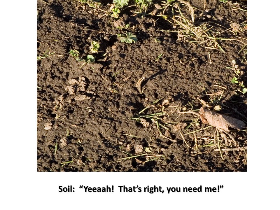 Soil: Yeeaah! That’s right, you need me!