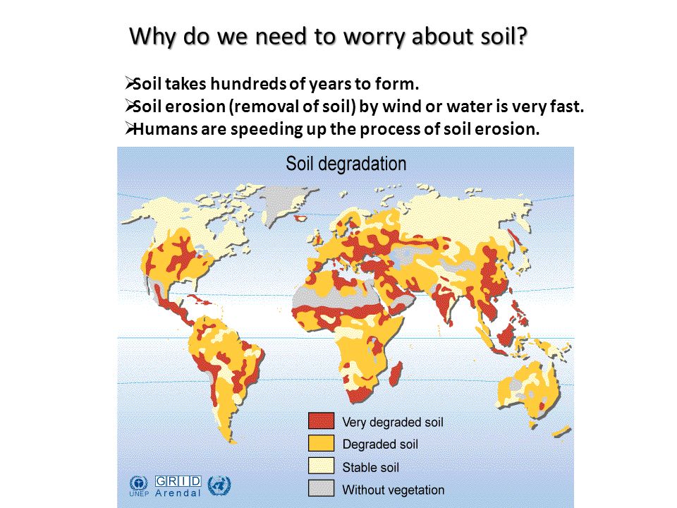 Why do we need to worry about soil.  Soil takes hundreds of years to form.