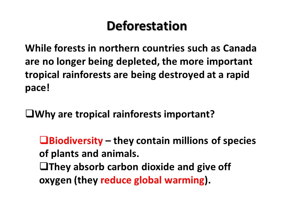 Deforestation While forests in northern countries such as Canada are no longer being depleted, the more important tropical rainforests are being destroyed at a rapid pace.