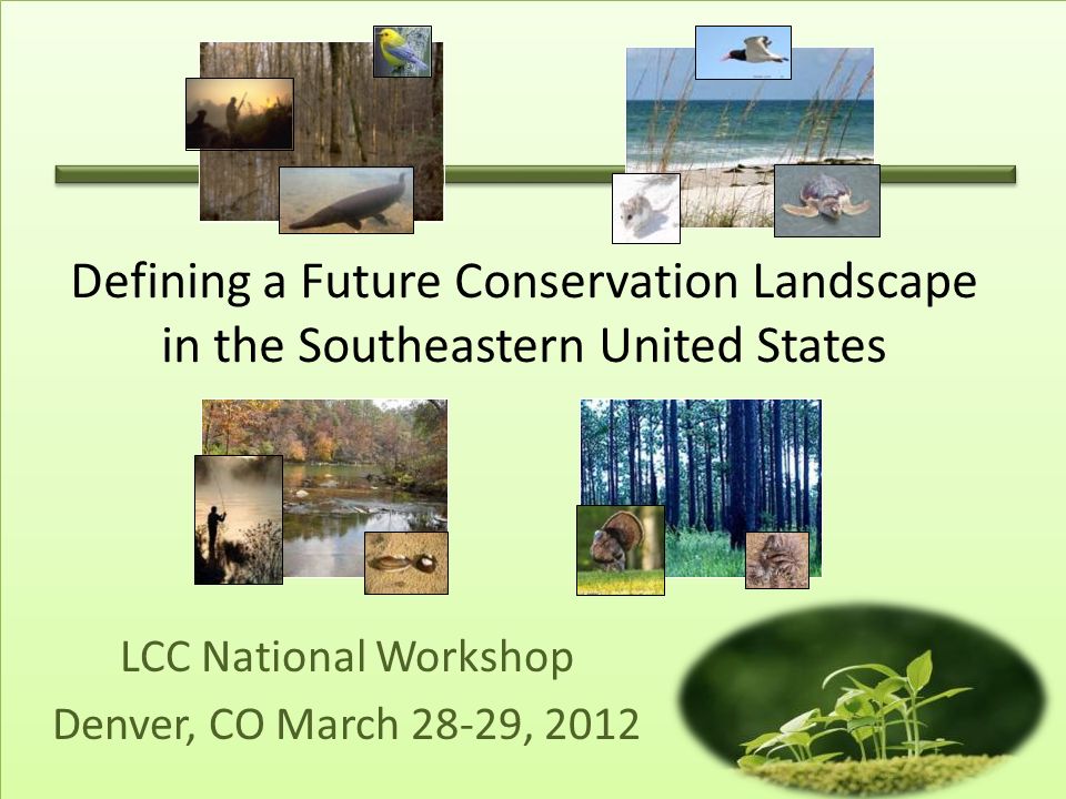 LCC National Workshop Denver, CO March 28-29, 2012 Defining a Future Conservation Landscape in the Southeastern United States