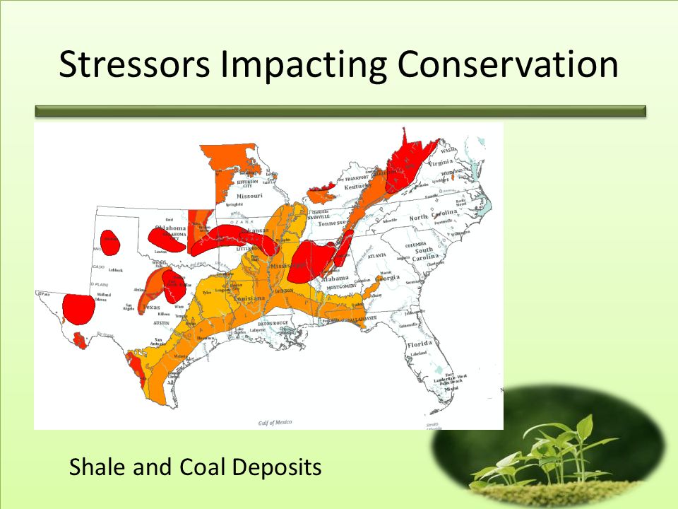 Stressors Impacting Conservation Shale and Coal Deposits