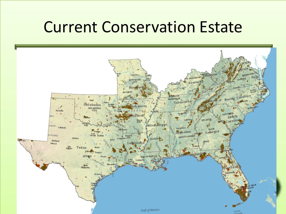 Current Conservation Estate