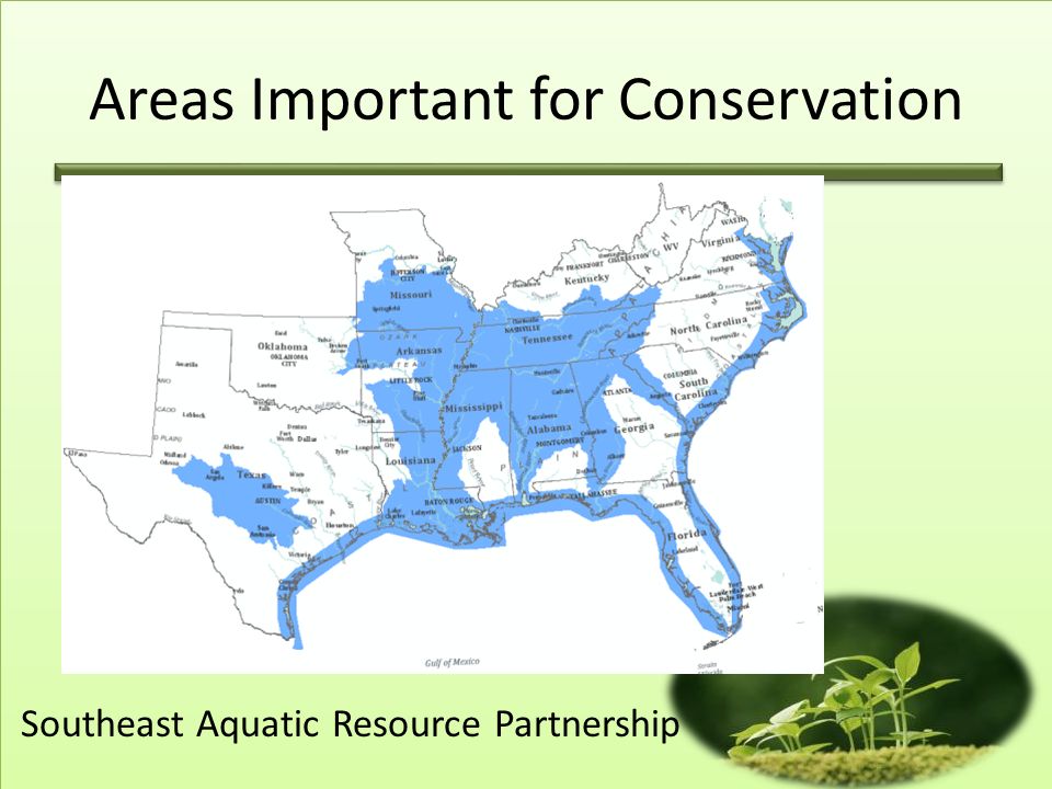 Areas Important for Conservation Southeast Aquatic Resource Partnership