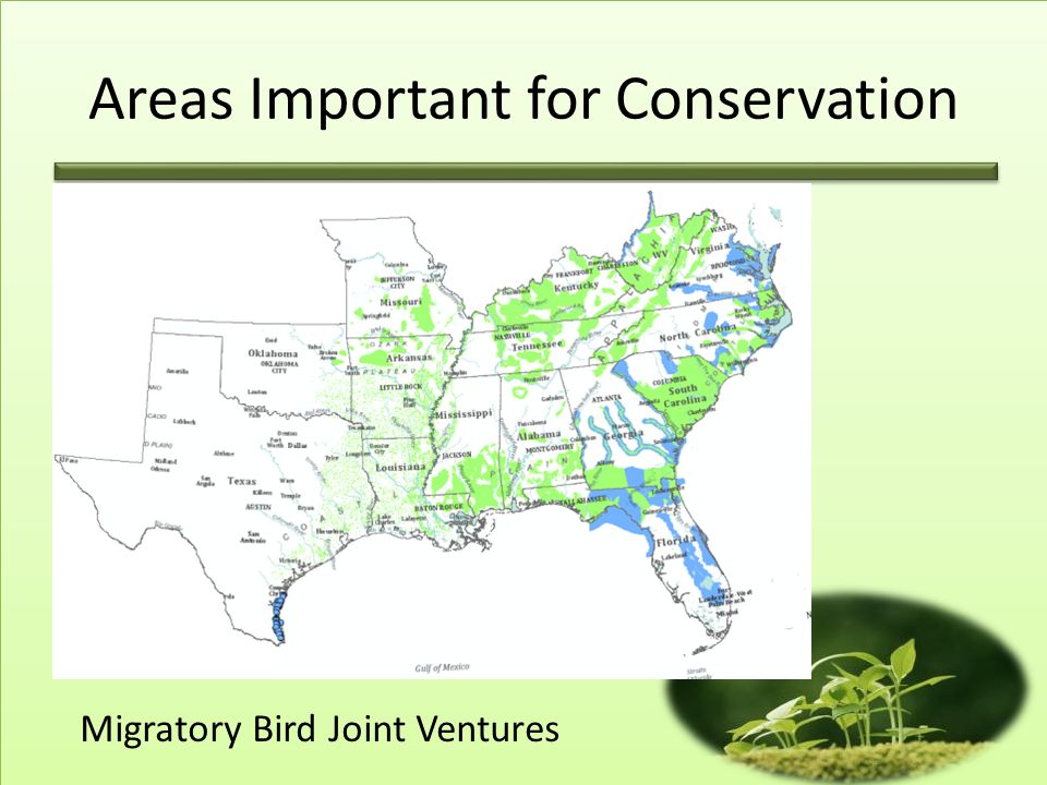 Areas Important for Conservation Migratory Bird Joint Ventures