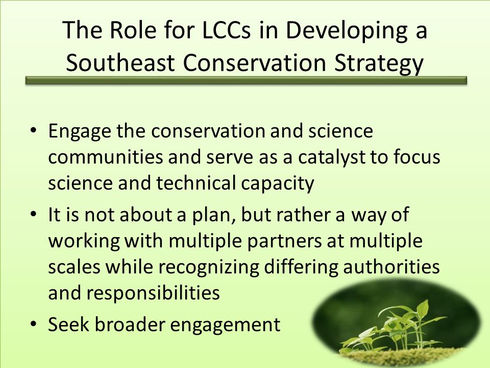 The Role for LCCs in Developing a Southeast Conservation Strategy Engage the conservation and science communities and serve as a catalyst to focus science and technical capacity It is not about a plan, but rather a way of working with multiple partners at multiple scales while recognizing differing authorities and responsibilities Seek broader engagement