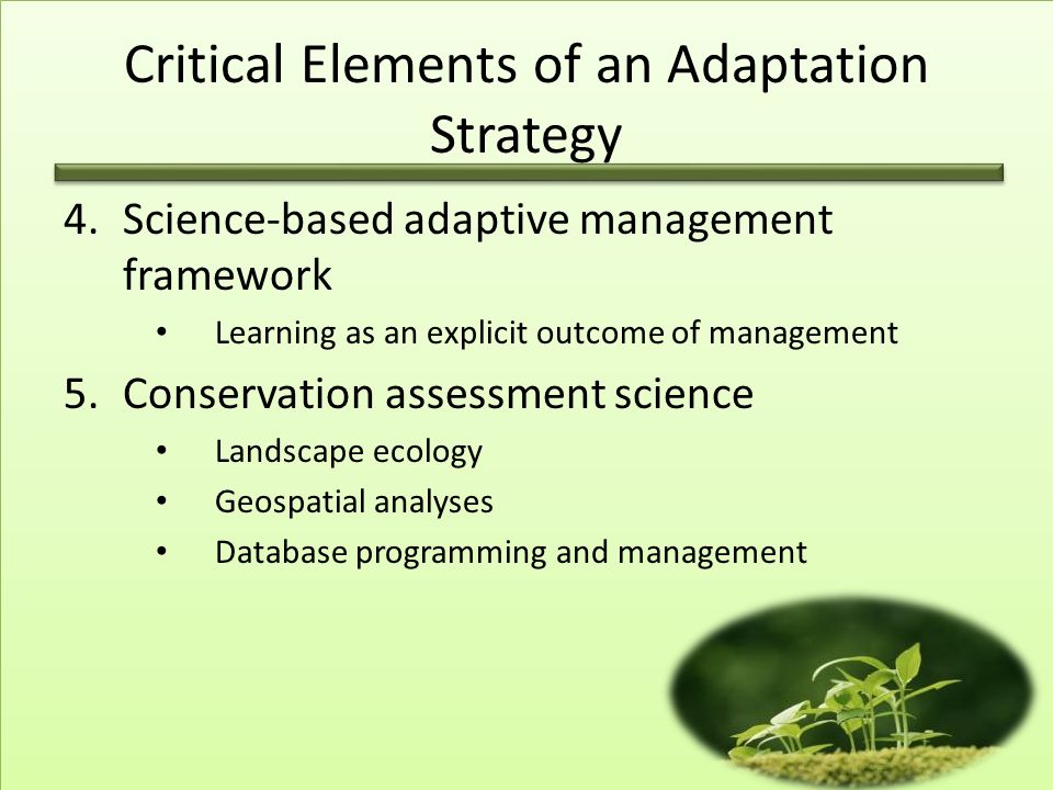4.Science-based adaptive management framework Learning as an explicit outcome of management 5.Conservation assessment science Landscape ecology Geospatial analyses Database programming and management Critical Elements of an Adaptation Strategy