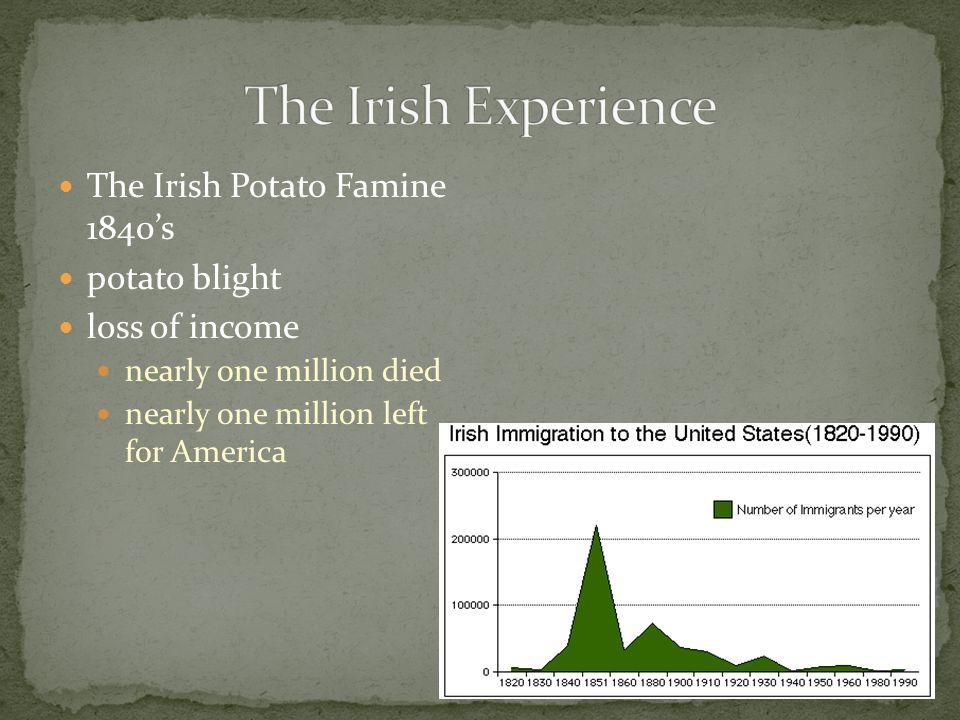 The Irish Potato Famine 1840’s potato blight loss of income nearly one million died nearly one million left for America