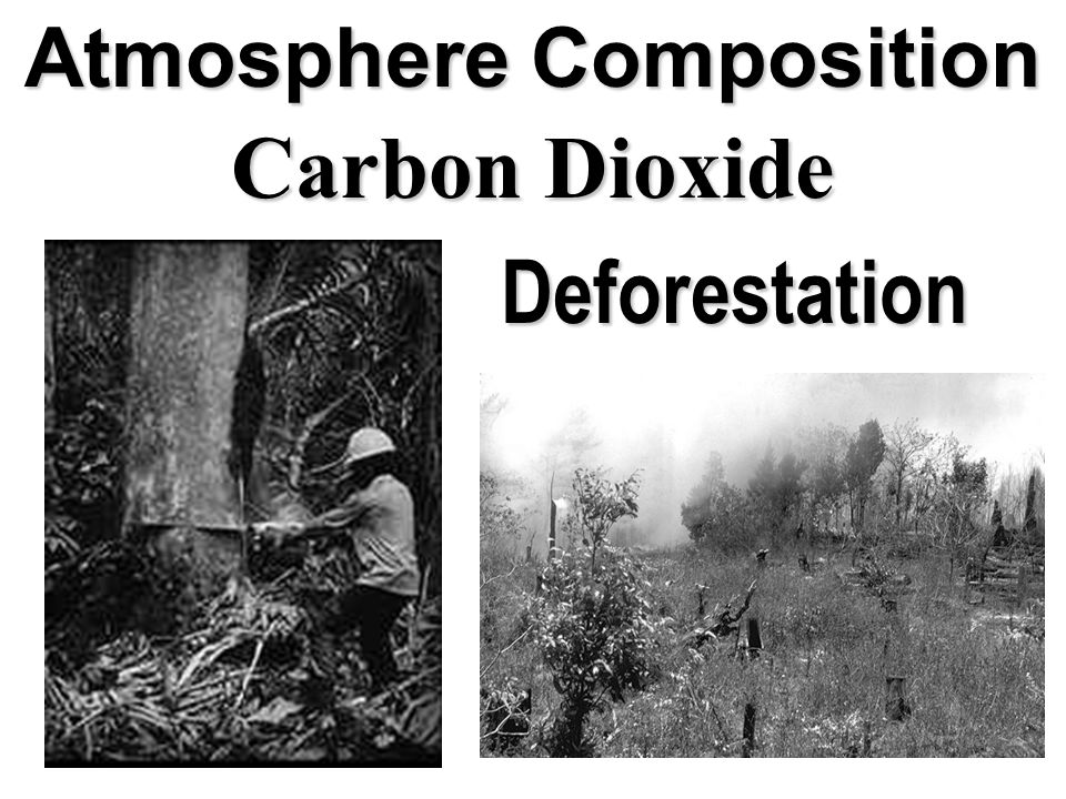 Atmosphere Composition Carbon Dioxide Deforestation