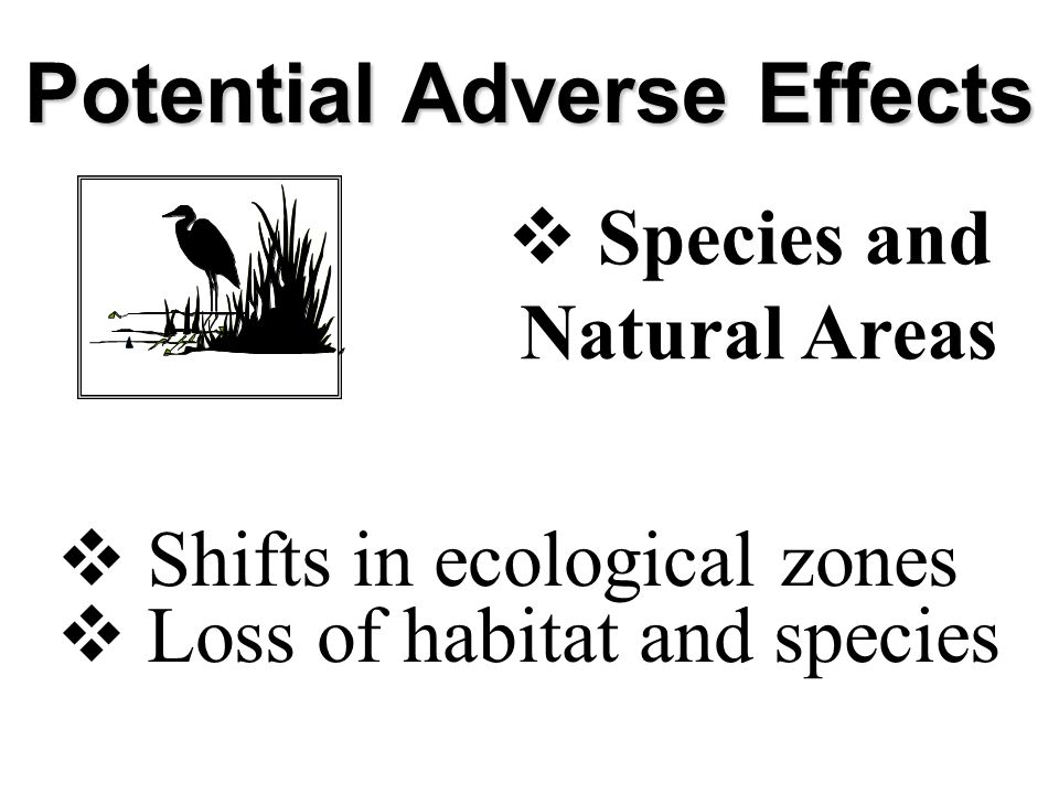 Potential Adverse Effects  Shifts in ecological zones  Loss of habitat and species  Species and Natural Areas