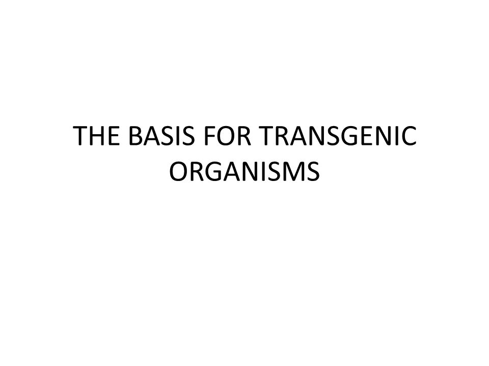 THE BASIS FOR TRANSGENIC ORGANISMS
