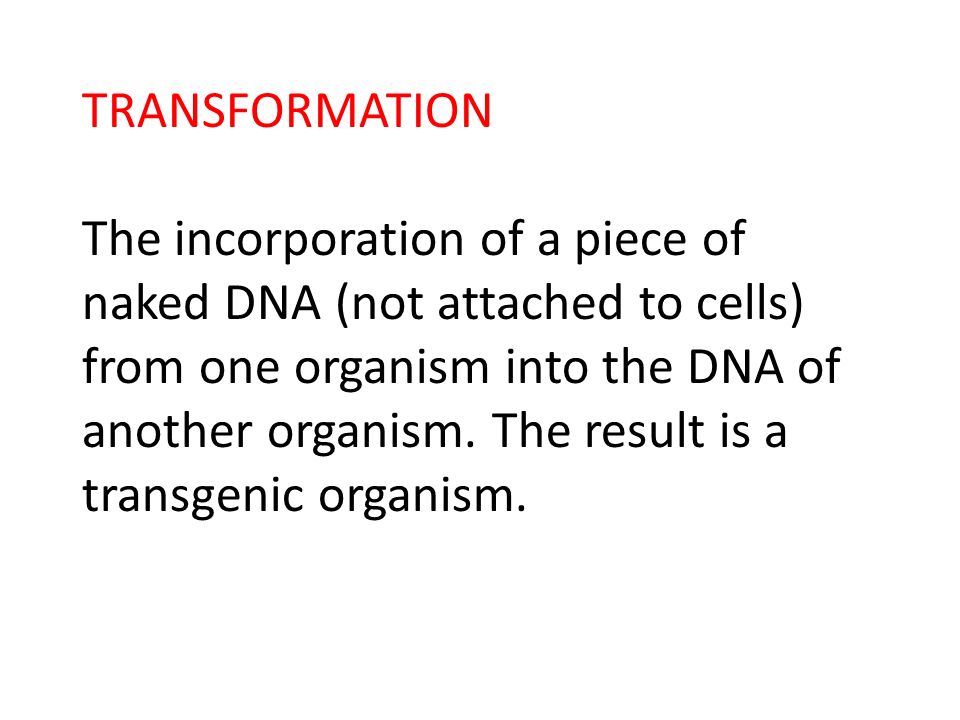 TRANSFORMATION The incorporation of a piece of naked DNA (not attached to cells) from one organism into the DNA of another organism.