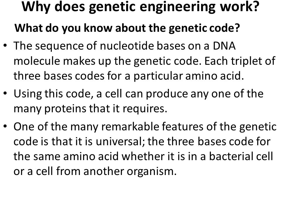 Why does genetic engineering work. What do you know about the genetic code.