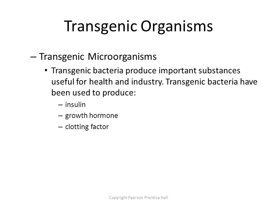 Copyright Pearson Prentice Hall Transgenic Organisms – Transgenic Microorganisms Transgenic bacteria produce important substances useful for health and industry.