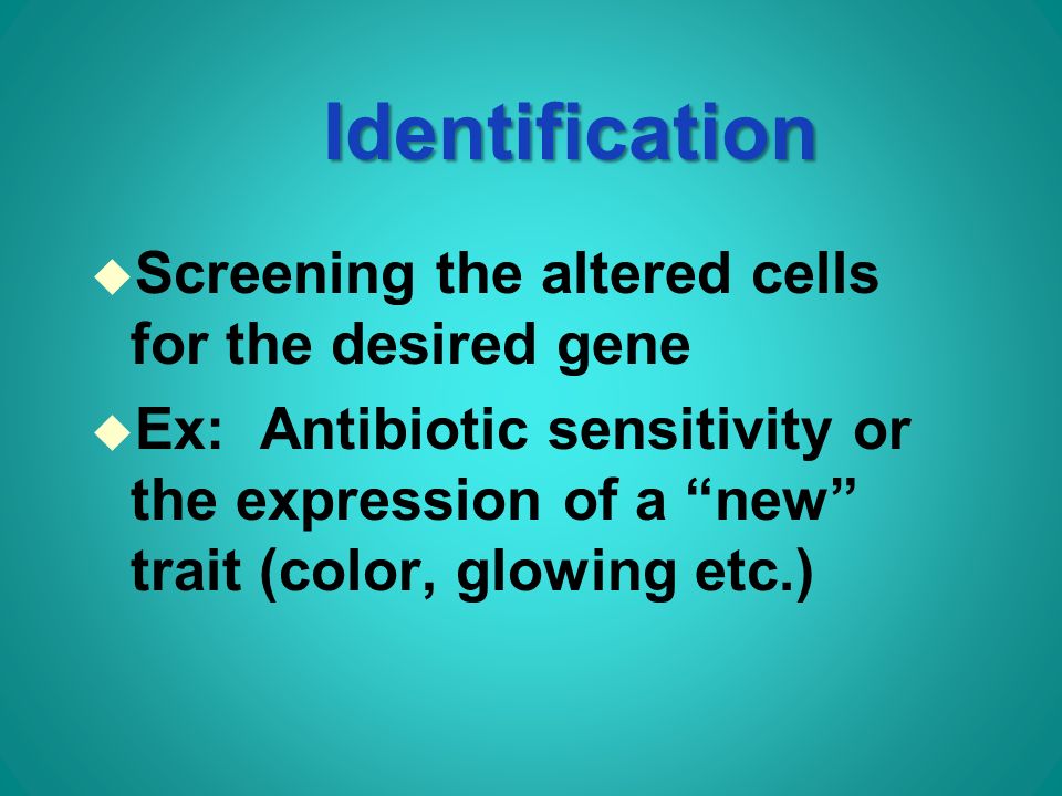 Identification u Screening the altered cells for the desired gene u Ex: Antibiotic sensitivity or the expression of a new trait (color, glowing etc.)