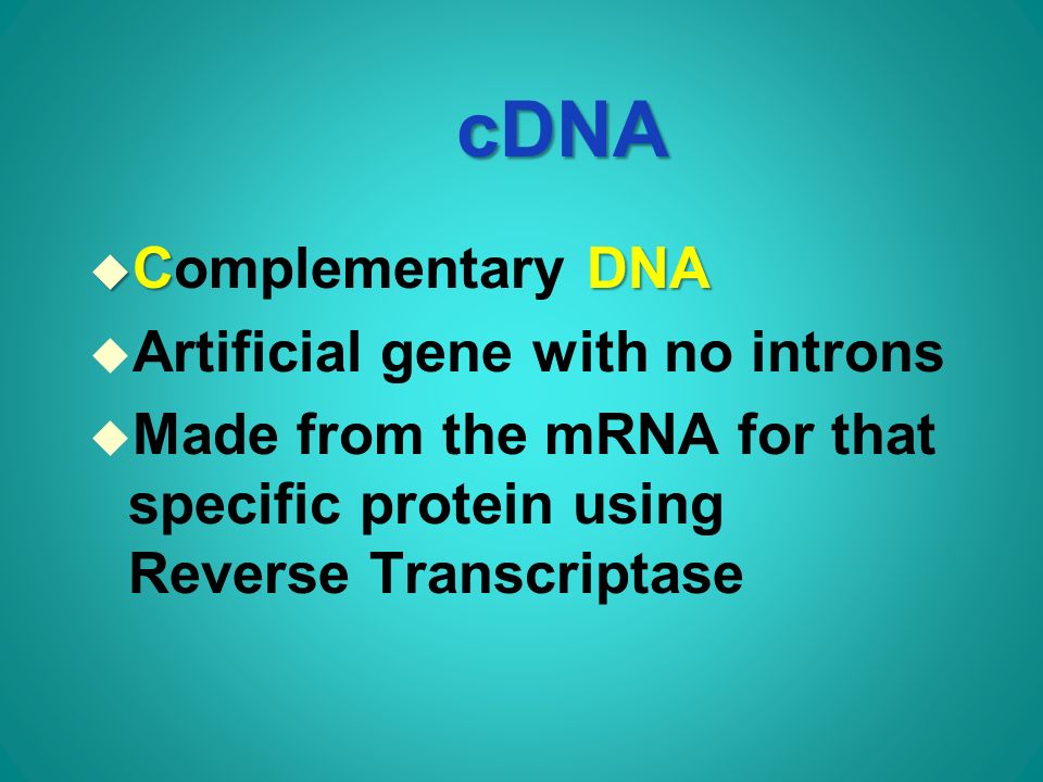 cDNA u CDNA u Complementary DNA u Artificial gene with no introns u Made from the mRNA for that specific protein using Reverse Transcriptase