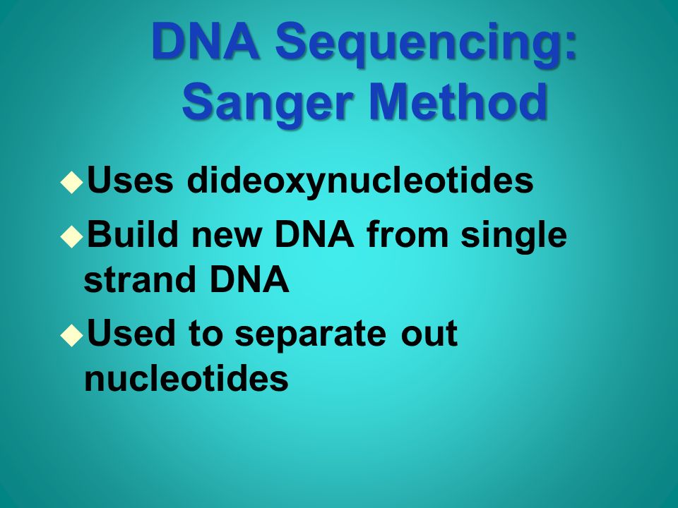 DNA Sequencing: Sanger Method u Uses dideoxynucleotides u Build new DNA from single strand DNA u Used to separate out nucleotides