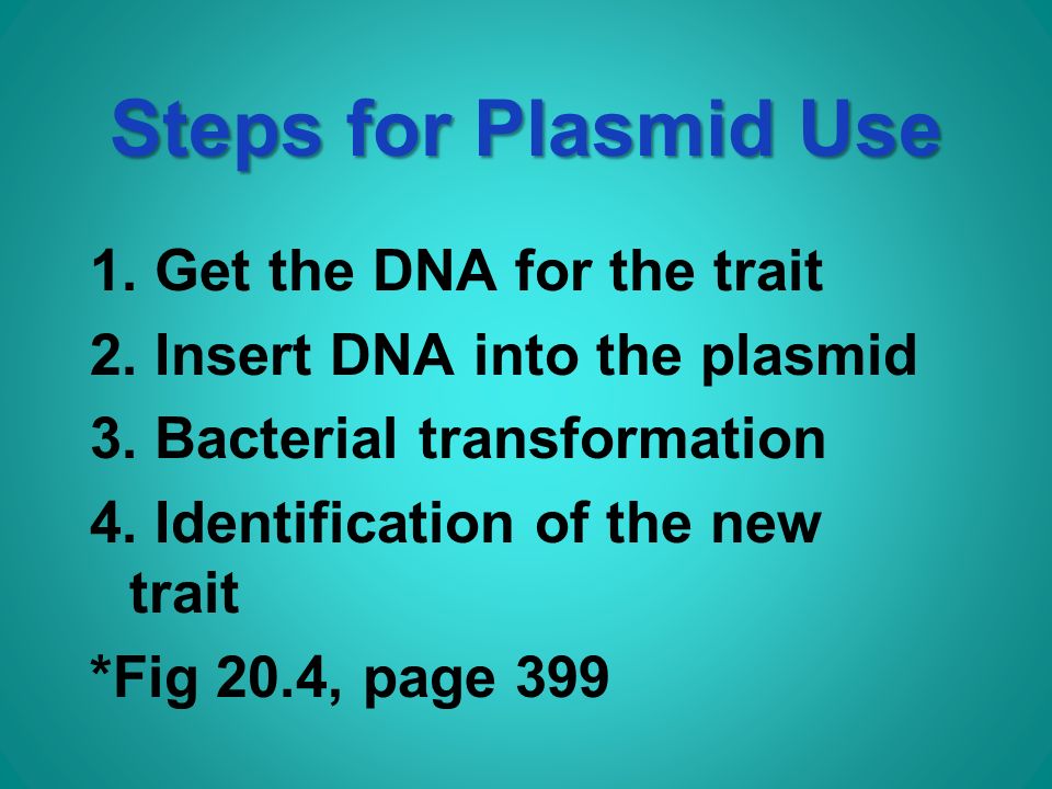Steps for Plasmid Use 1. Get the DNA for the trait 2.