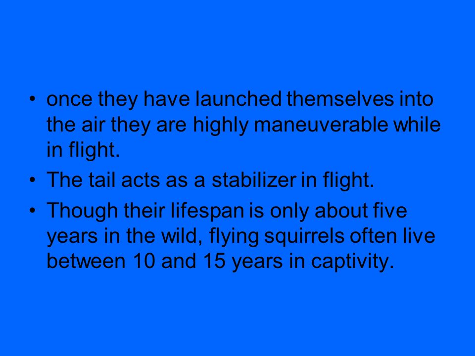 once they have launched themselves into the air they are highly maneuverable while in flight.