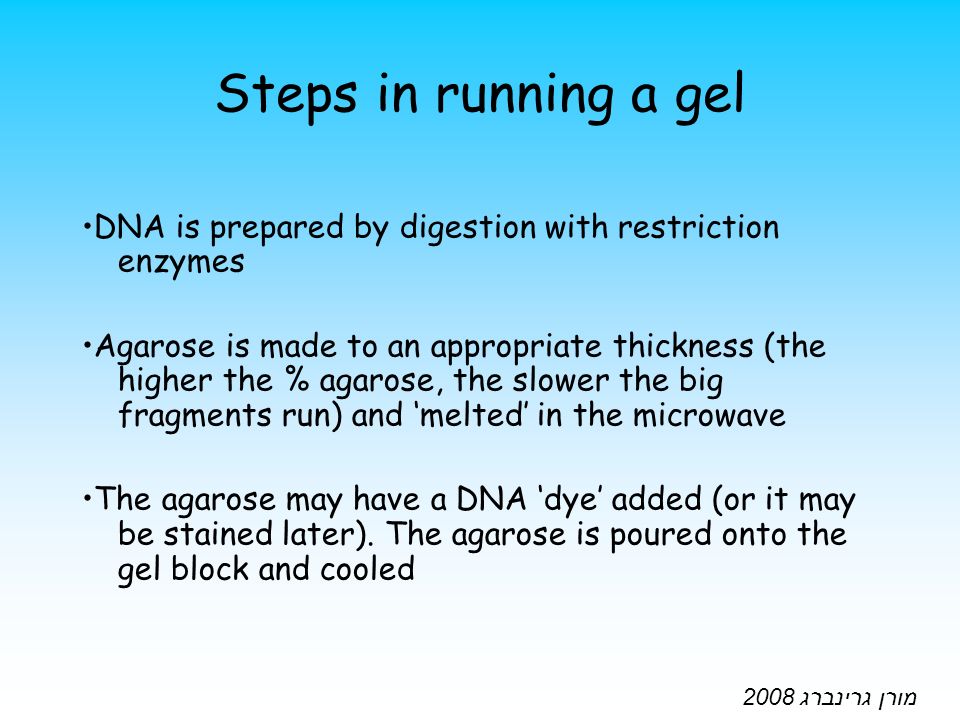 PCR בעזרת DNA אנאליזה של TSH של הרצפטור ל - DNA זיהוי נוכחות בעזרת PCR מורן  גרינברג ppt download