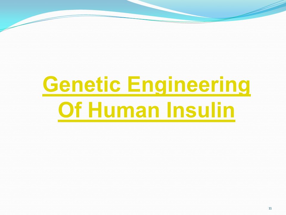 Genetic Engineering Of Human Insulin 11