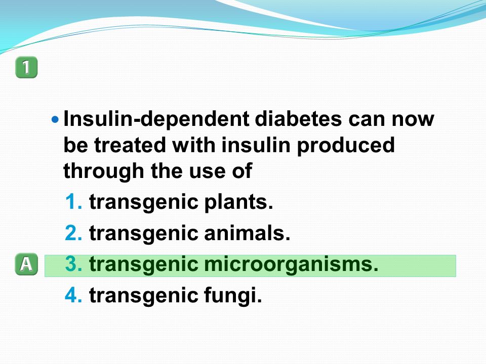 Insulin-dependent diabetes can now be treated with insulin produced through the use of 1.transgenic plants.