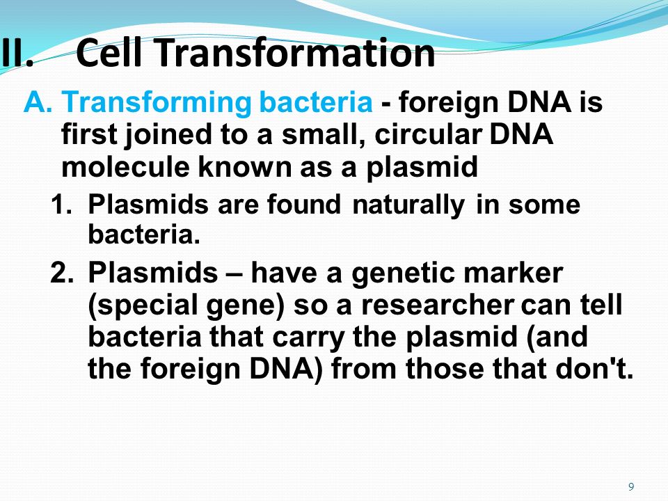 II.Cell Transformation A.Transforming bacteria - foreign DNA is first joined to a small, circular DNA molecule known as a plasmid 1.Plasmids are found naturally in some bacteria.