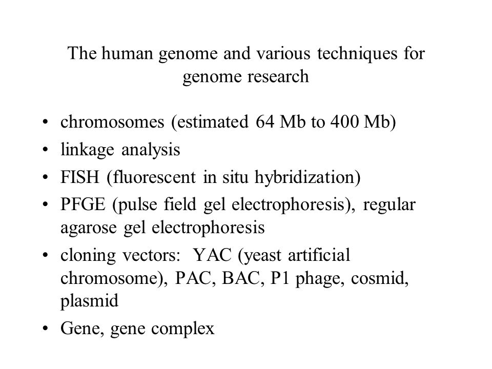 The human genome and various techniques for genome research chromosomes (estimated 64 Mb to 400 Mb) linkage analysis FISH (fluorescent in situ hybridization) PFGE (pulse field gel electrophoresis), regular agarose gel electrophoresis cloning vectors: YAC (yeast artificial chromosome), PAC, BAC, P1 phage, cosmid, plasmid Gene, gene complex