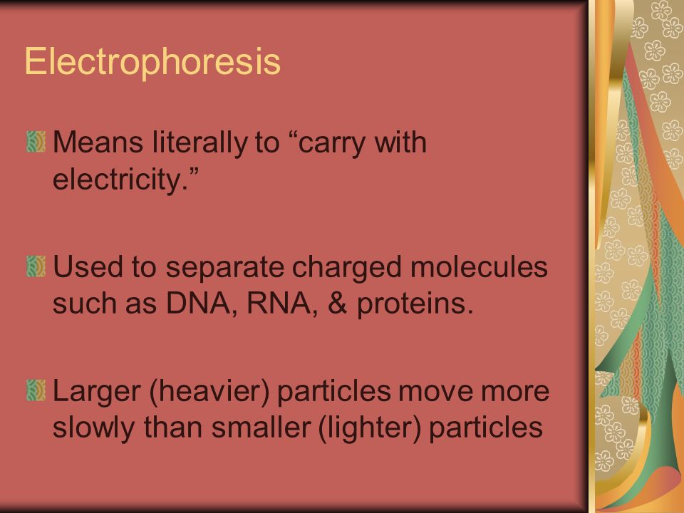Means literally to carry with electricity. Used to separate charged molecules such as DNA, RNA, & proteins.